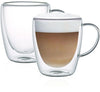 Double Wall Borosilicate Glass Cup