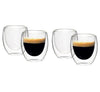 Double Wall Borosilicate Glass Cup